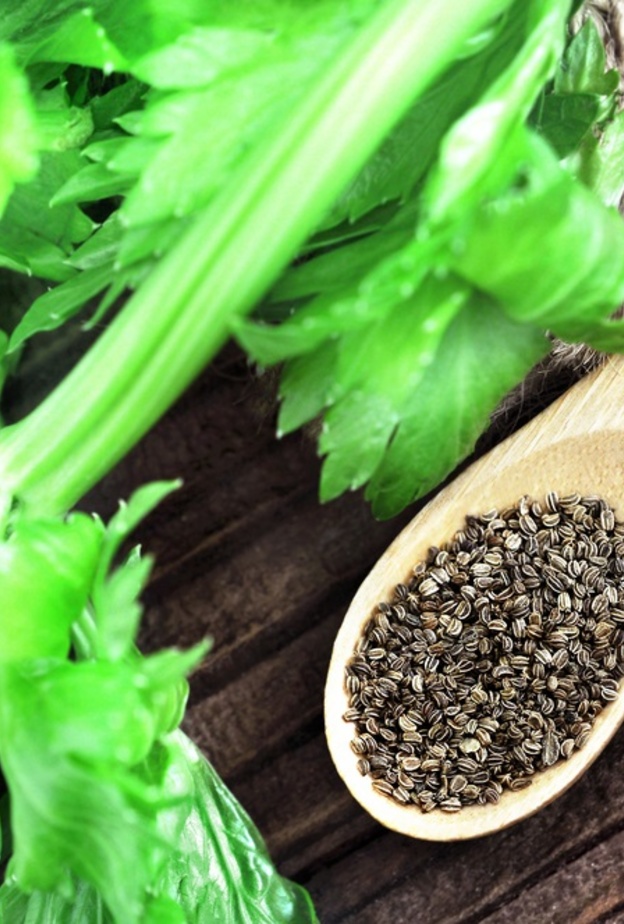 رئيسية فوائد بذور الكرفس الصحية