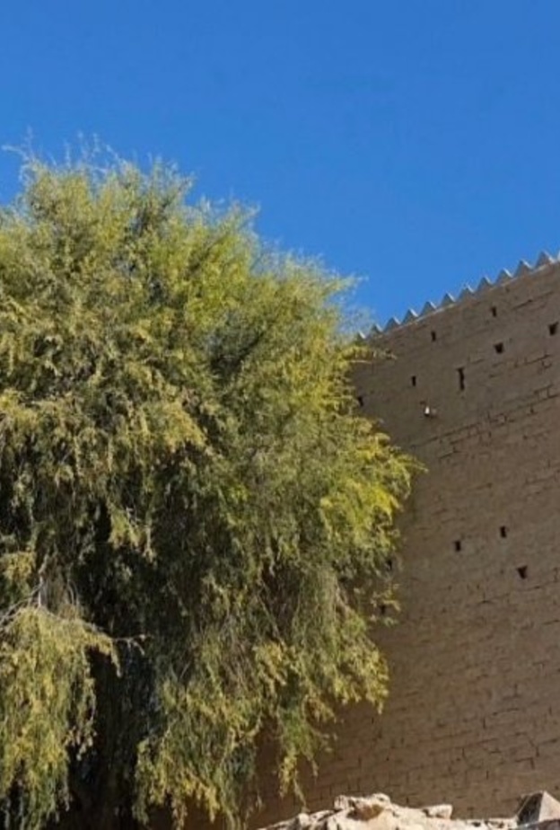  عبق الماضي وشموخ التاريخ في دبا الحصن - المصدر تويتر