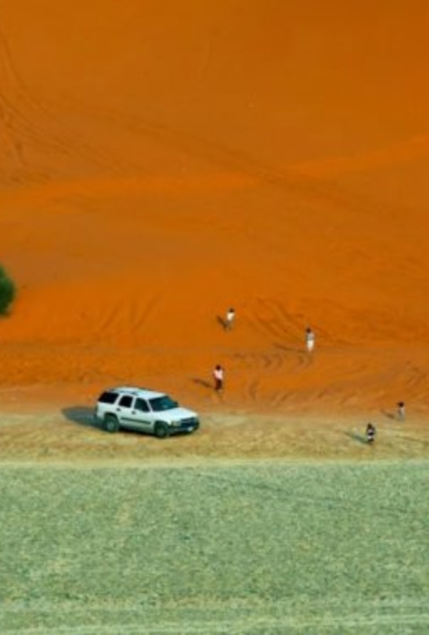  المساحات الخضراء تغطي أنحاء منتزه الشفا البري الصورة من وكالة الأنباء السعودية