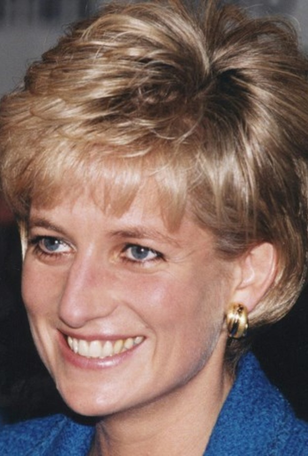 ماذا ورث الأمير ويليام من الأميرة ديانا؟