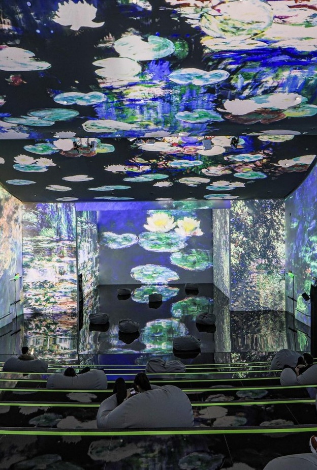 رحلة فنية فريدة في مسرح دبي للفنون الرقمية- المصدر فيسبوك