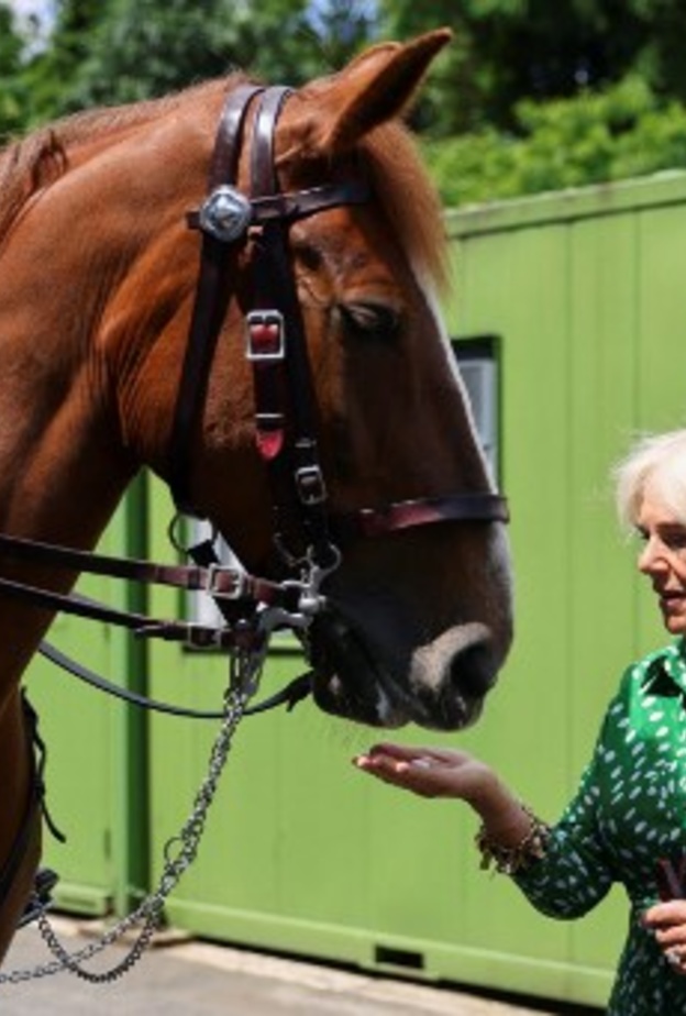كاميلا دوقة كورنوال تتسلم منصب جديد.. فما هو؟