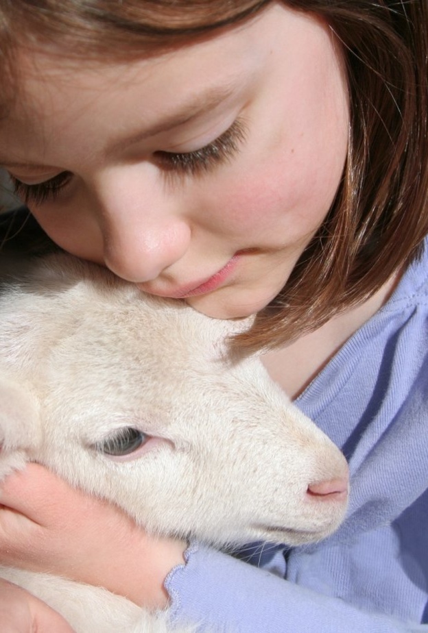 هل مشاهدة الأطفال لذبح الاضحية آمن وما هو السن المناسب لمشاهدتها