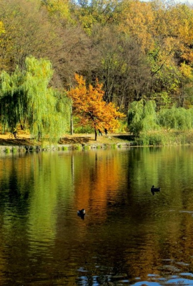 الطبيعة الخلابة في كييف أوكرانيا بواسطة pxhere