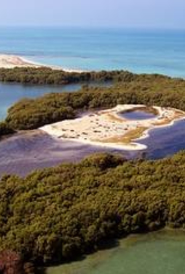 سحر الطبيعة البكر في  جزيرة بوطينة- المصدر تويتر 