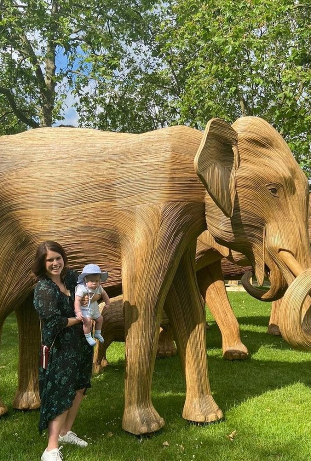 الأميرة يوجين تنشر فيديو جديد لابنها أوغست وهو يشجع منتخب إنجلترا