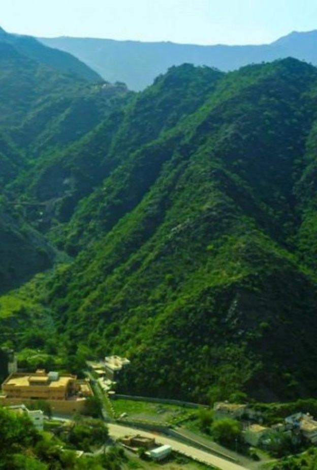 أجواء لا مثيل لها في النماص - المصدر وكالة الأنباء السعودية