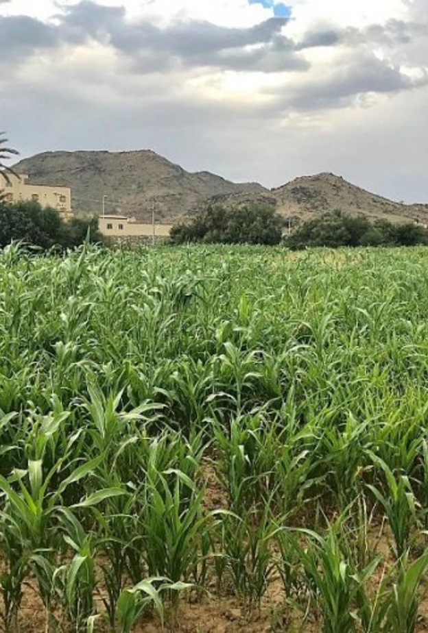 الطبيعة البكر في قرى المجاردة - المصدر وكالة الانباء السعودية