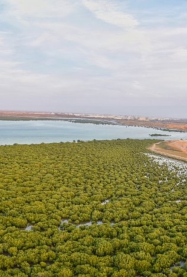 حتا وادي هب - المصدر وكالة أنباء الإمارات