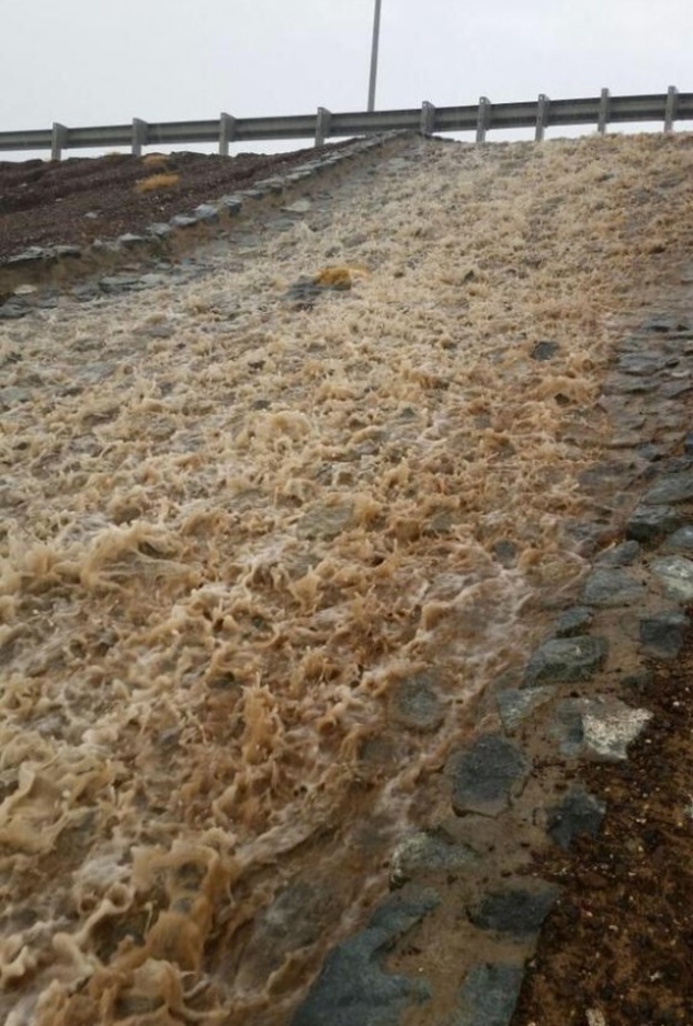 سقوط أمطار الخير وجريان الأودية في الأمارات