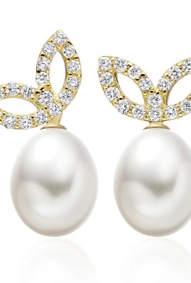  أقراط Enchanted من Winterson