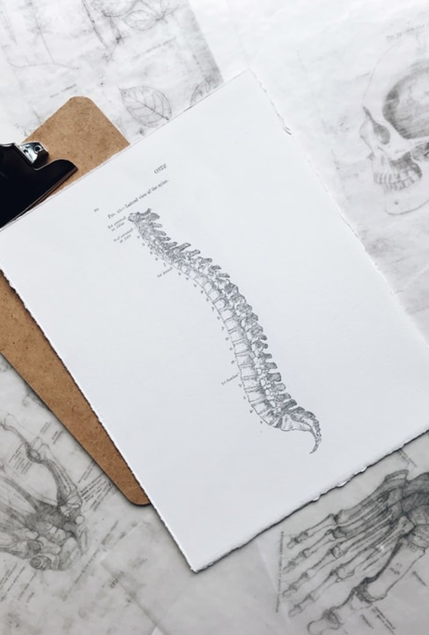  ما الفرق بين الديسك والشد العضلي