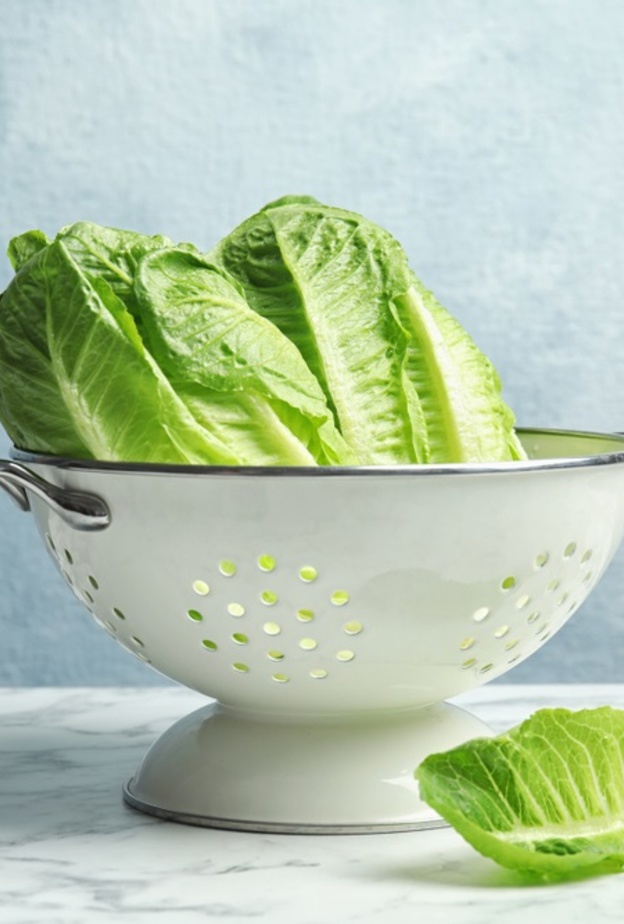 فوائد الخس لصحة الجسم والجهاز المناعي