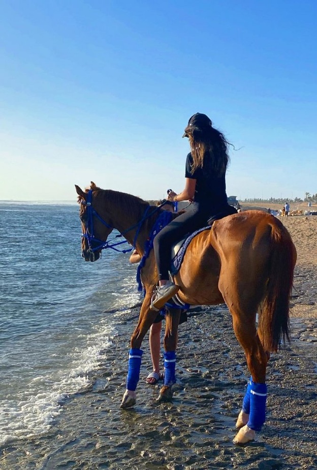 ركوب الخيل في الوجه - المصدر حساب انستقرام @the.wander.er 