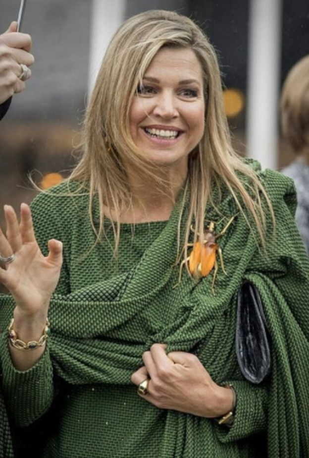 الملكة ماكسيما ترتدي بروش اليعسوب