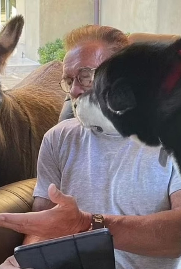 رنولد شوارزنيجر _ الصورة من حساب أرنولد شوارزنيجر على إنستجرام