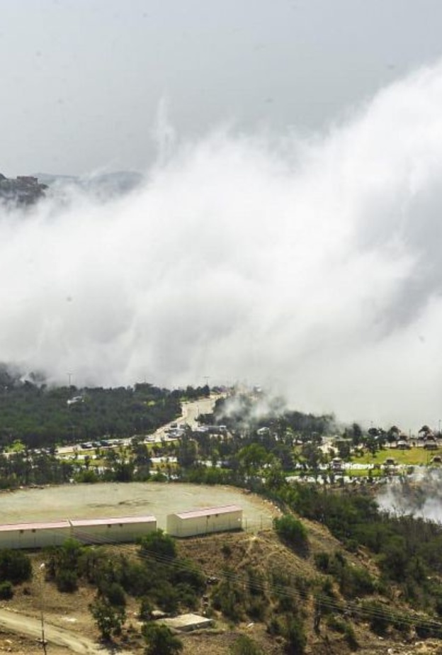 غابة رغدان.. أجواء الطبيعة الساحرة تعانق قمم الجبال في الباحة - المصدر وكالة الأنباء السعودية 