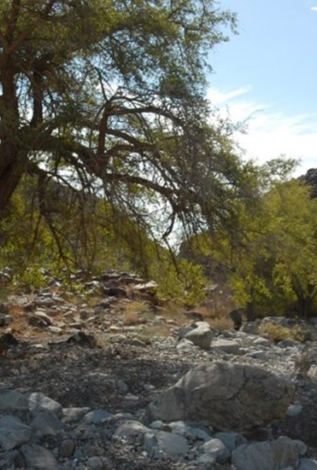 أجواء ساحرة لعشاق المغامرة في منطقة النحوه - المصدر زوروا الشارقة