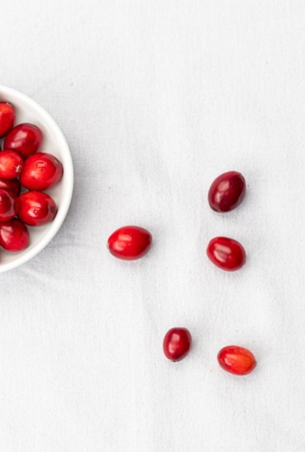 ماهي فوائد التوت البري للجهاز الهضمي