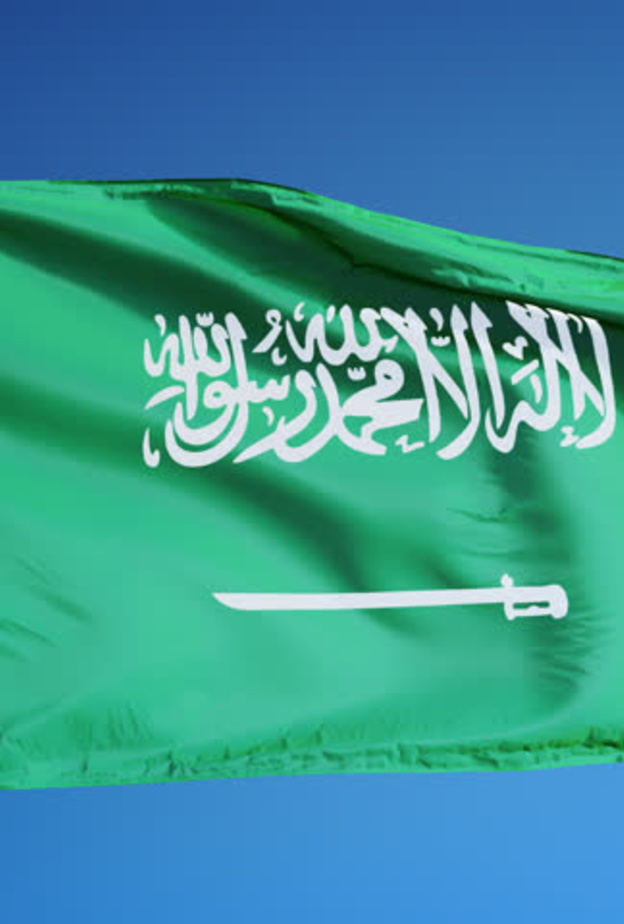 المملكة في المرتبة الأولى عربيا والثالثة عالميا بقائمة أفضل 10 دول للهجرة