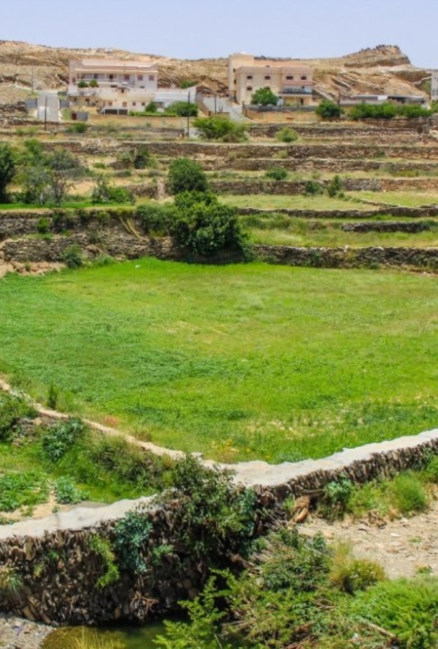 المساحات الخضراء في عسير - المصدر شاترستك