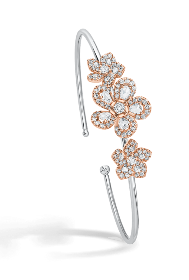 سوار من ديفيد موريس David Morris