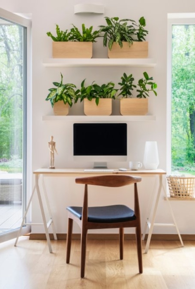 أحواض النباتات تضيف الطاقة الإيجابية على ديكور المكتب