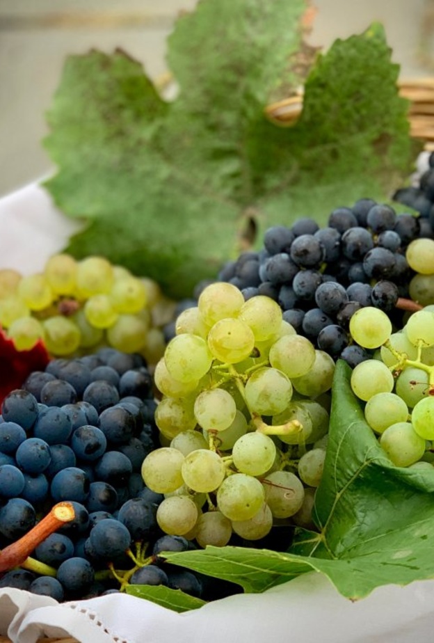 ماهي فوائد العنب قبل النوم