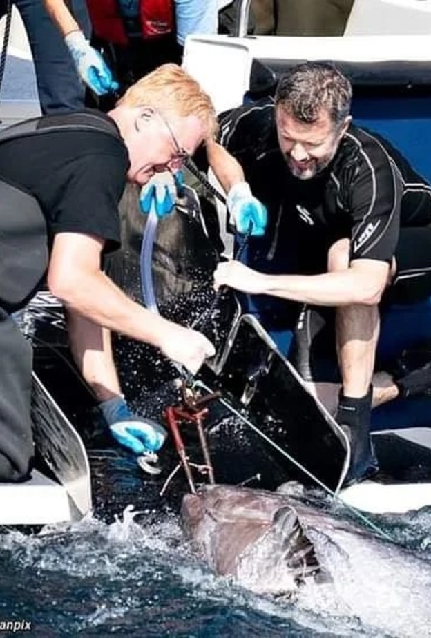 الأمير فريدريك يتفقد سمكة تونة زرقاء في أحدث مهماته الرسمية