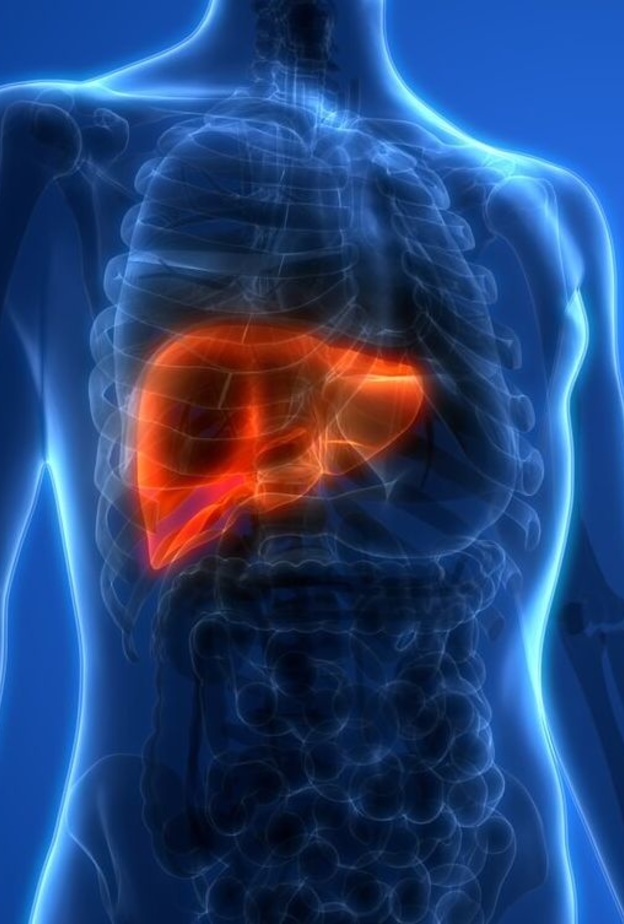 علامات تدل على الإصابة بتليف الكبد