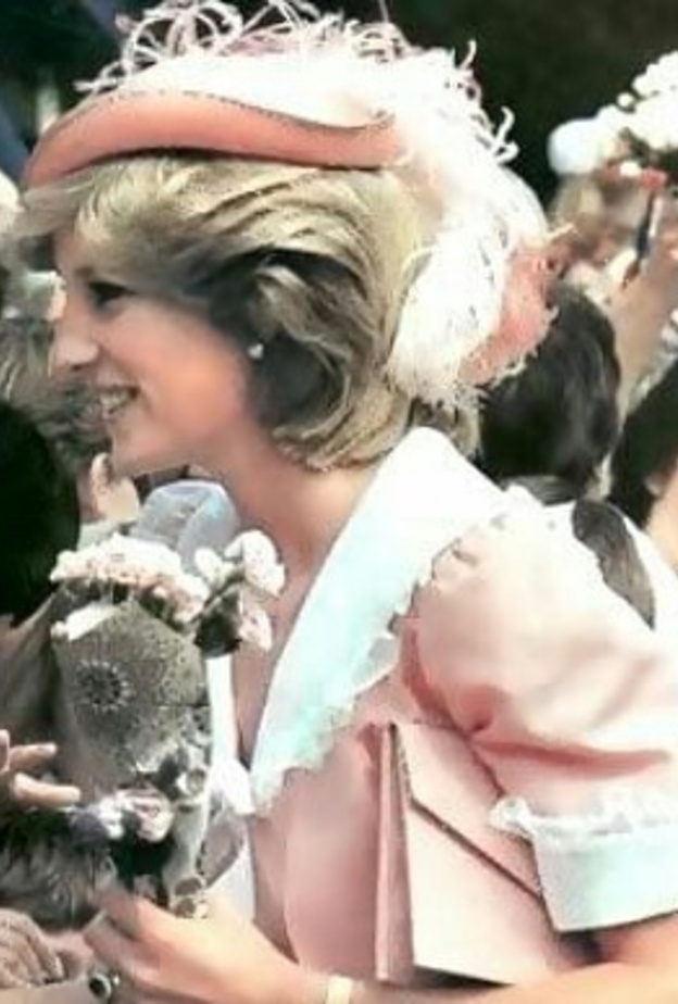  صورة الفستان الوردي الذي ارتدته الأميرة ديانا في يوم زفافها