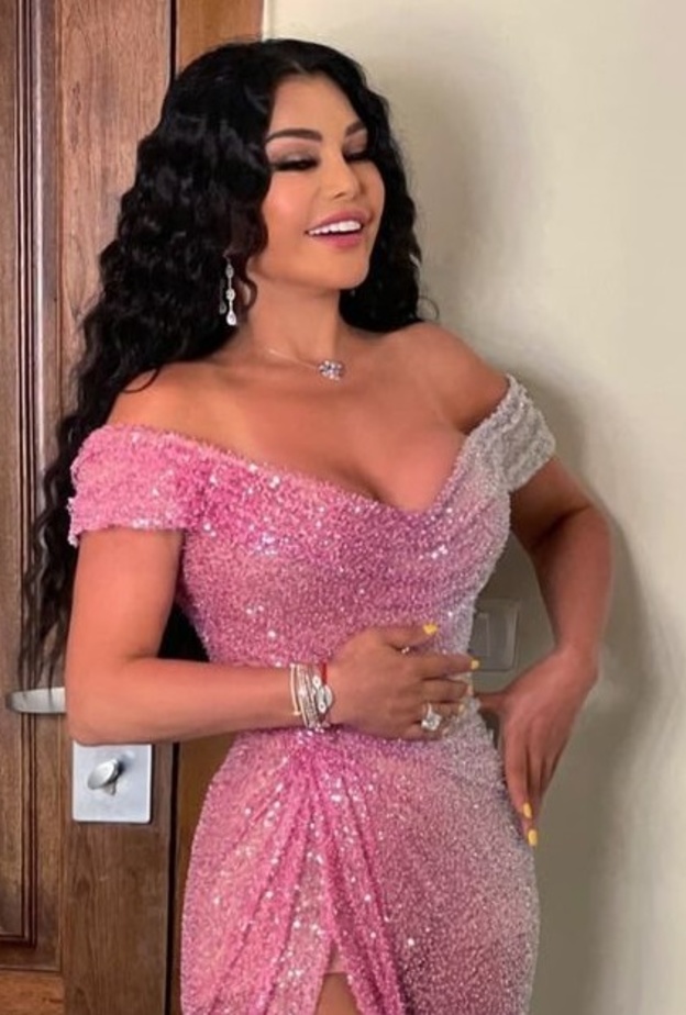 هيفاء وهبي في احدث ظهور 