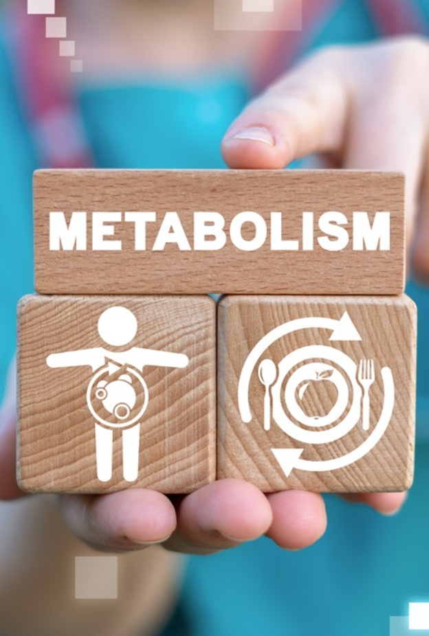  عملية الايض في الجسم اكثر استقرارا عما كان الاعتقاد السابق