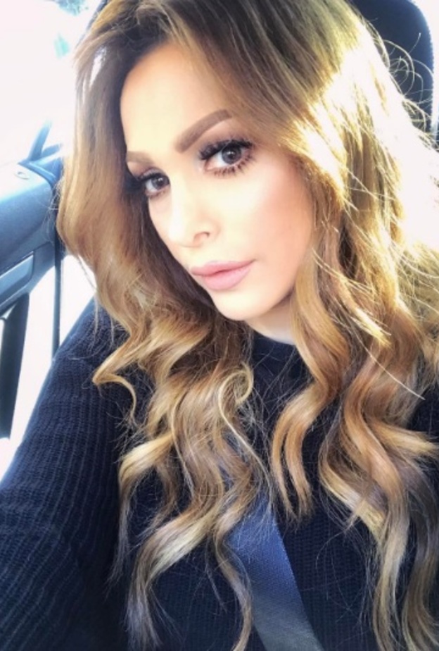 امل حجازي واولادها