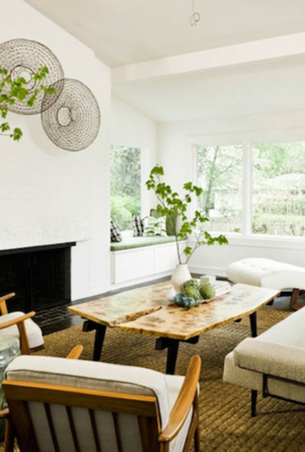 بيوت نابضة بالحياة مع النباتات المنزلية الطبيعية