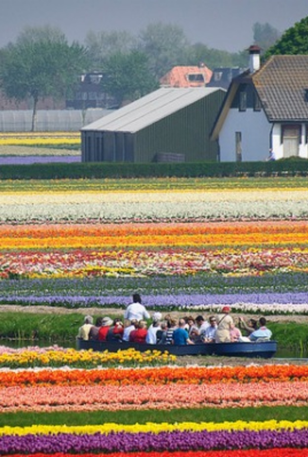 كيوكينهوف في هولندا .. أجمل حديقة ورود في العالم