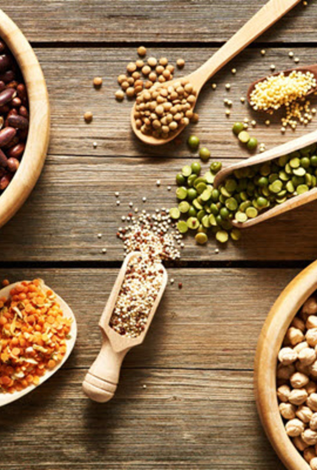 العدس والحمص والبذور من الاطعمة الغنية بالبروتين النباتي