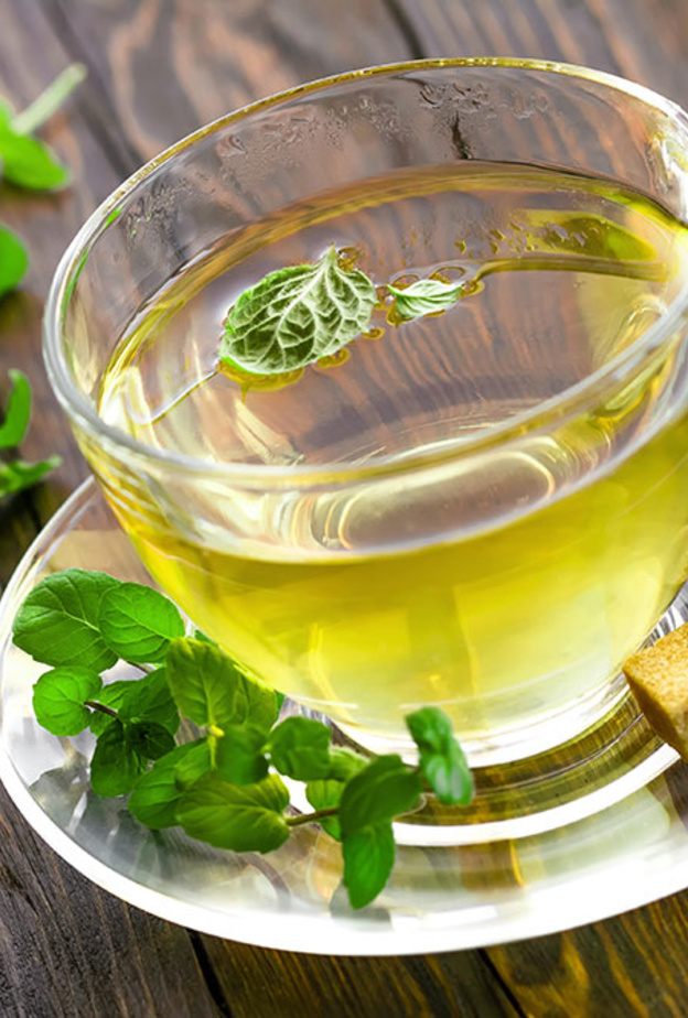 فوائد النعناع لعلاج امراض القولون