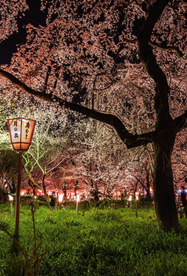 أفضل صور السفر في عام 2013 من ناشونال جيوغرافيك