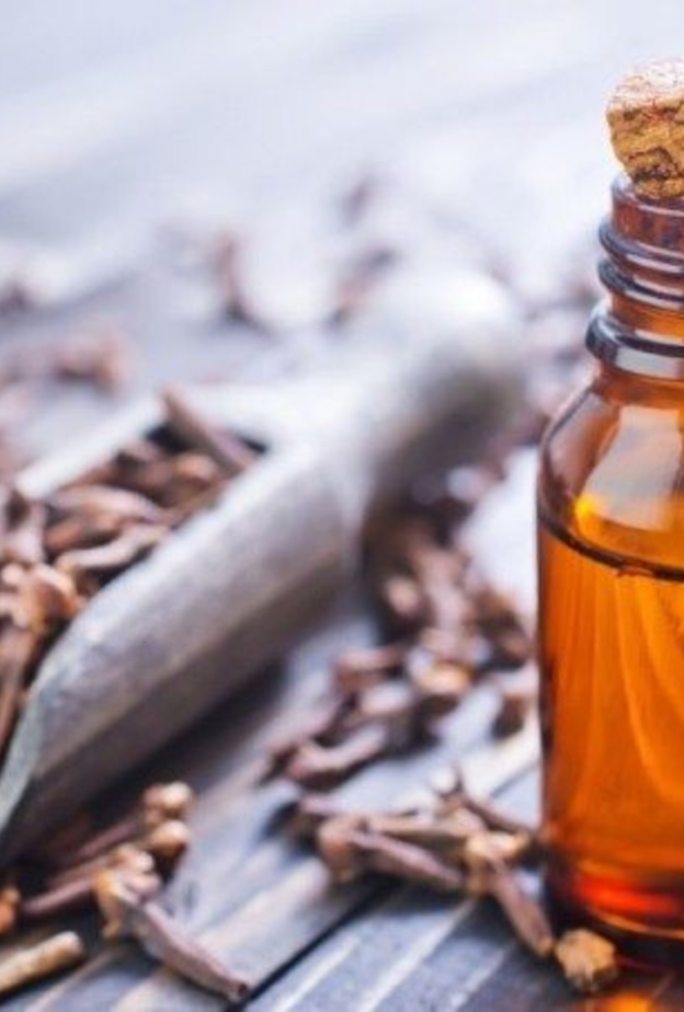 فوائد زيت القرنفل في علاج الام الاسنان و التهاب اللثة و تقرحات الفم