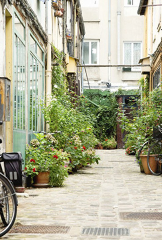 تجربة مثيرة وغير اعتيادية لم يسبق للسياح تجربتها.