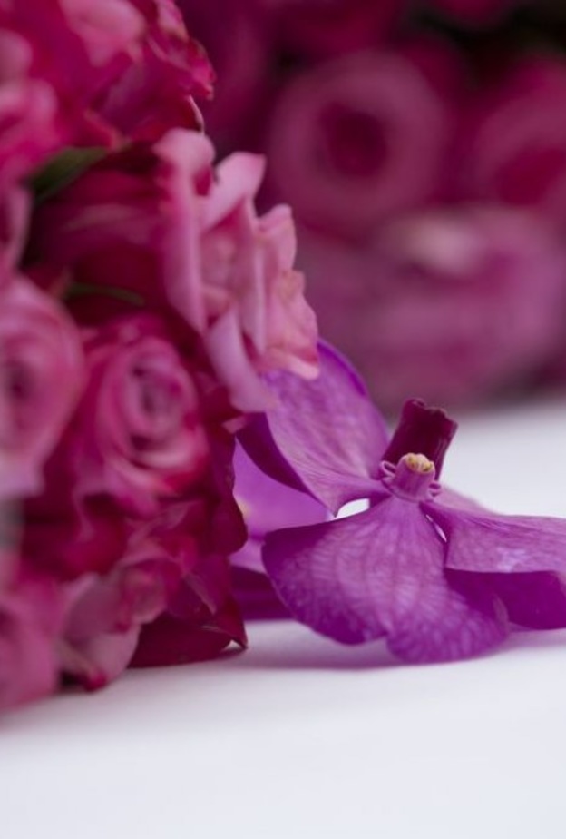 الالوان الرومانسية للورود