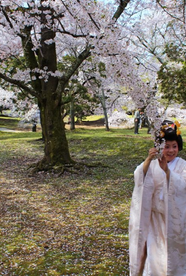 اليابانيون من الشعوب المهذبة والمتحضرة للغاية