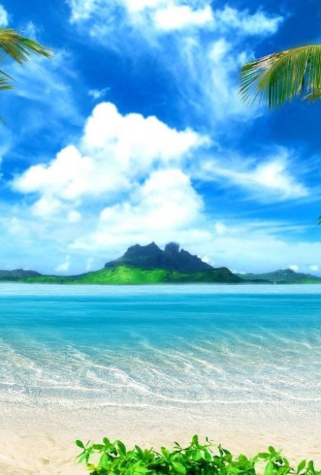 روعة ساحل Punta Cana