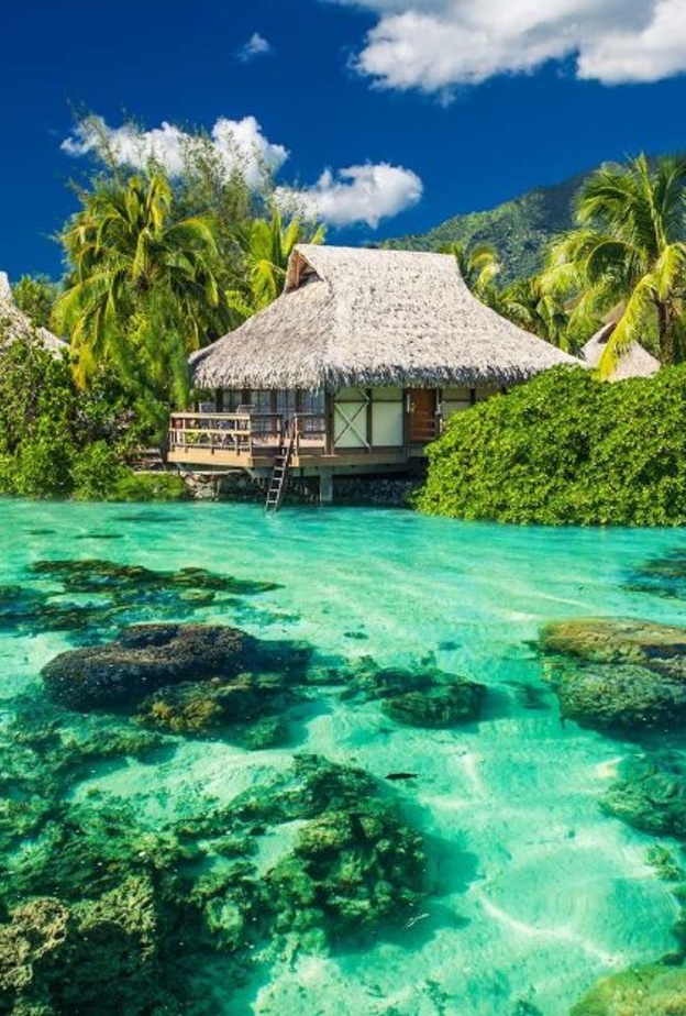 _جمال فريد في جزيرة هايدرا