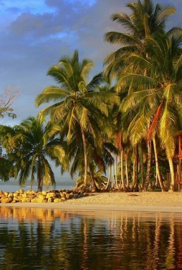 ولاية بوكاس ديل تورو – بنما