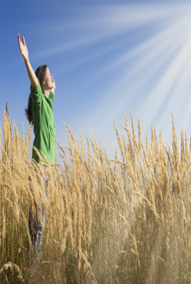 هل يمكننا خسارة الوزن بمجرد التحديق في الشمس؟