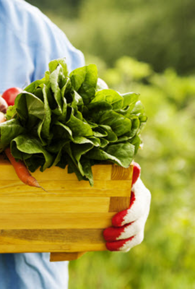 حمية الشمال الجديدة هي الأفضل بحسب الطب لإنقاص الوزن