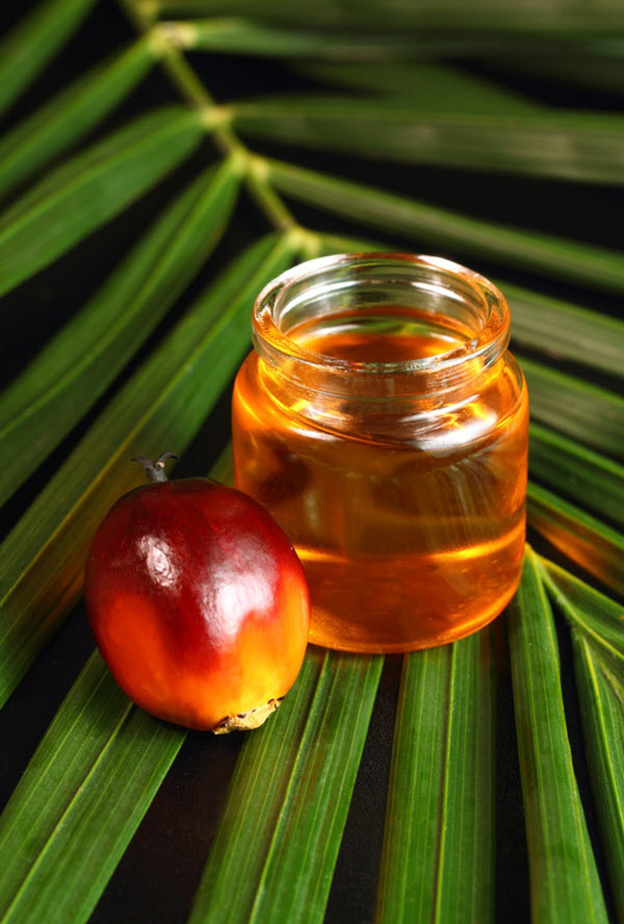 زيت النخيل من المكونات الطبيعية التي تعتبر خطيرة على الصحة