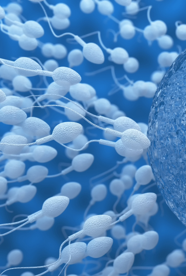 ماذا تعرفون عن السائل المنوي؟